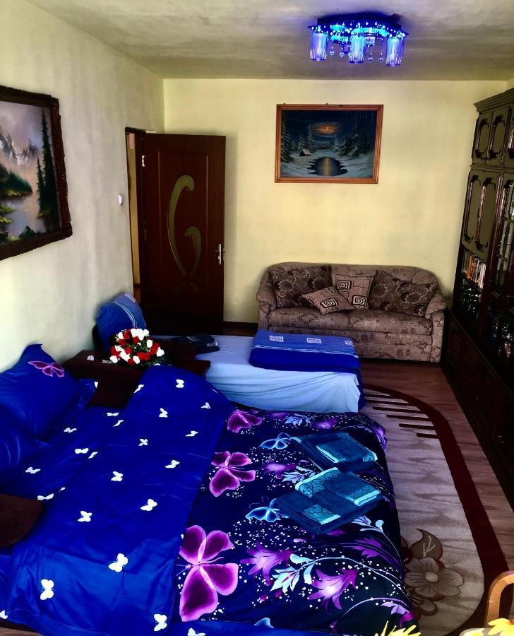 La Symo Apartament Straja Lupeni Lupeni  Exterior foto